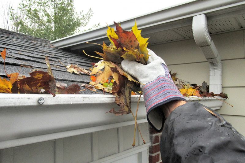 Roof Gutter Cleaning in Long Island, NY